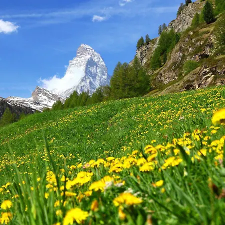 Apartment Matten Zermatt